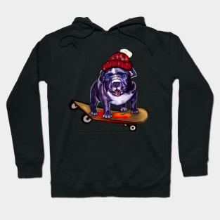 pit bull dog puppy skateboarding in a red beanie hat - cute funny blue line pittie with piercing blue eyes Hoodie